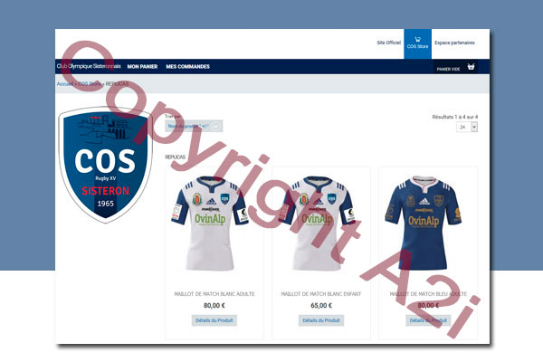  <a href="http://www.cos-rugby-sisteron.frg" target="_blank" >www.cos-rugby-sisteron.fr </a> <br/>Site web basé sur le CMS Joomla! avec le composant VirtueMart (boutique en ligne), et intégration de système de paiement sécurisé